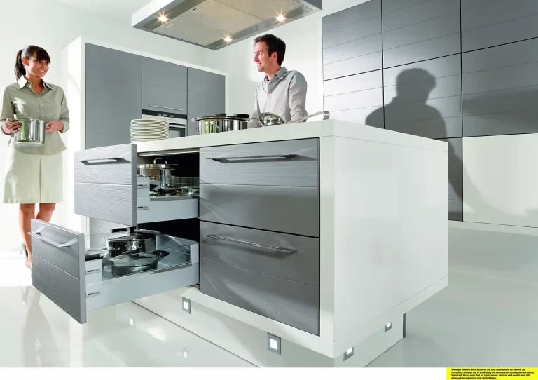 Modern Kitchen Cabinet Setup with Inbuilt Appliances